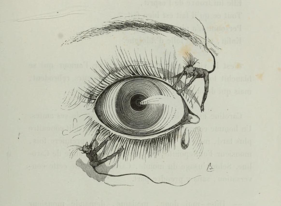 Bertall (Charles Albert d’Arnoux), “Les Révélations Brutales”, (Ilustración) Honoré de Balzac, Petites misères de la vie conjugale, Paris, Chez Chlendowski, 1846, p. 273, vía Internet Archive, https://archive.org/details/petitesmisres00balz/page/274/mode/2up